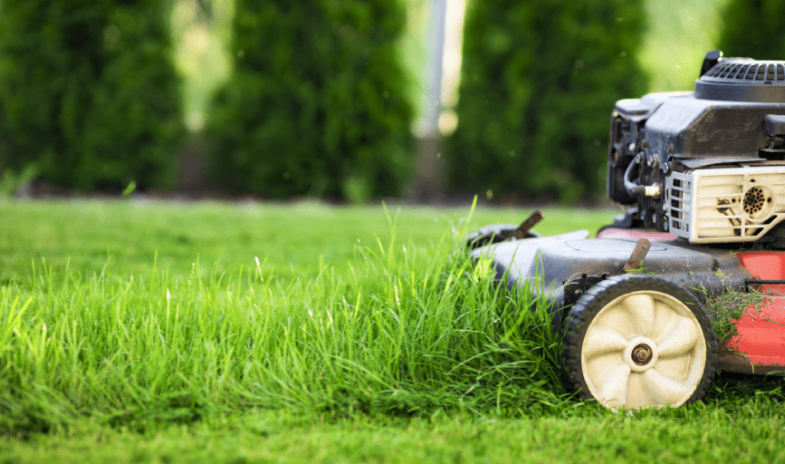 LAWN MOWING